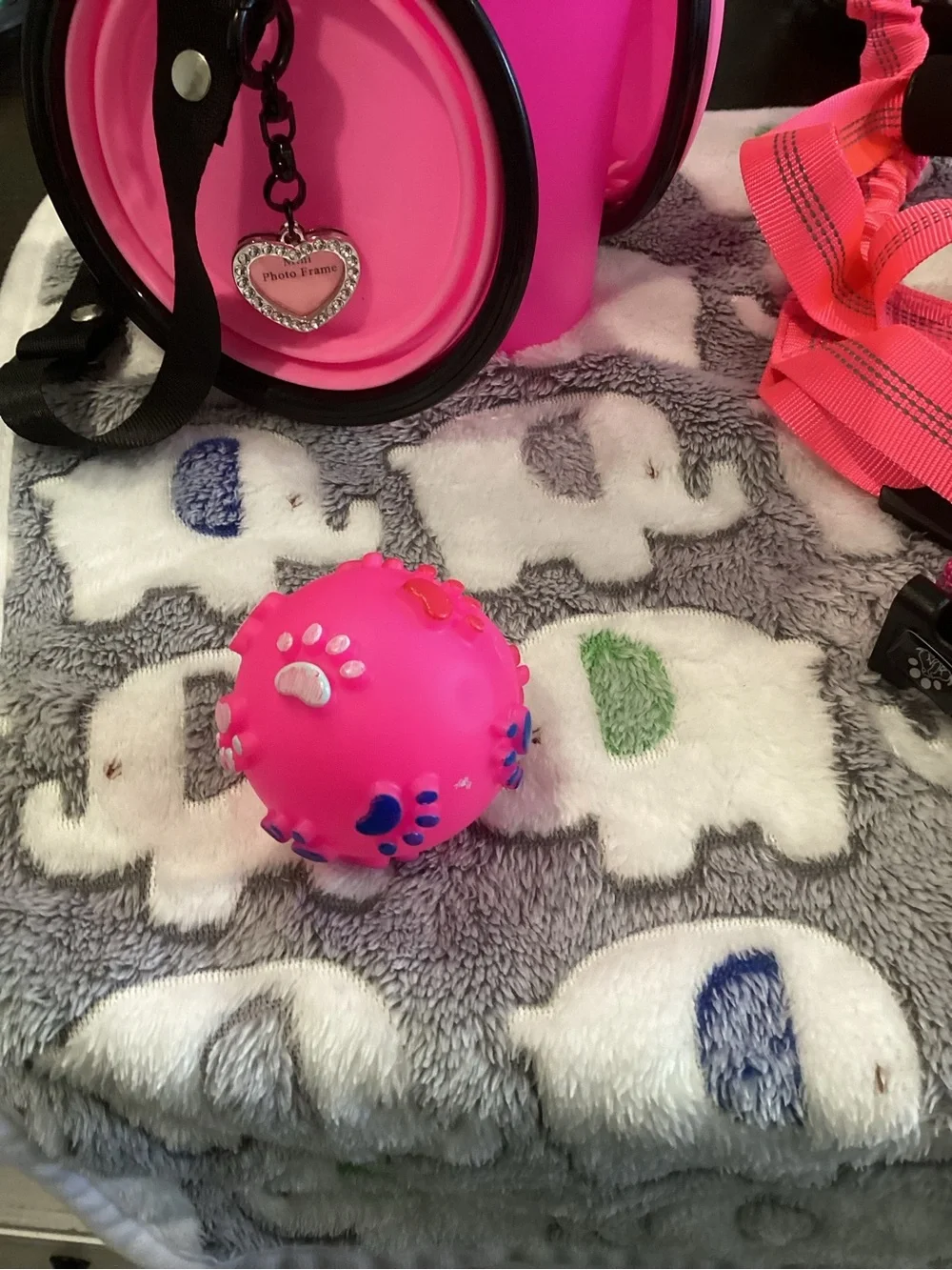 NWOT - Hot Pink Water & Food Btle w/Blk Strap, Leash, Car Restraint, & Collar!!!